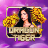Dragon Tiger live game on 888phl app app